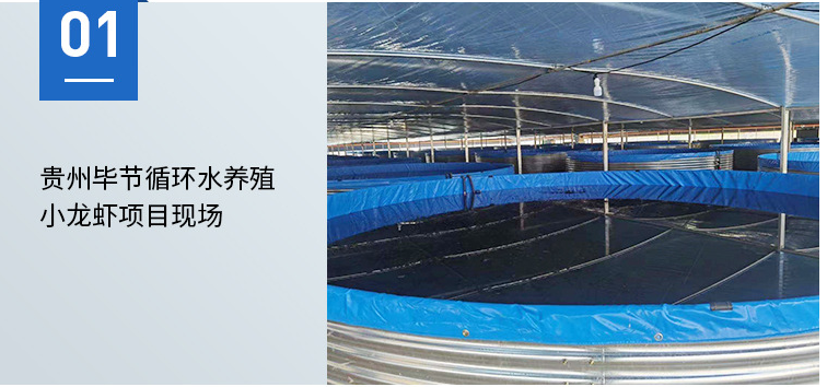 贵州毕节循环水养殖小龙虾项目