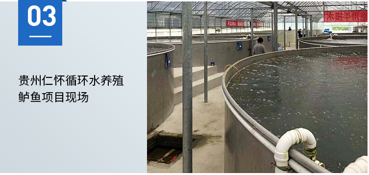 贵州仁怀循环水养殖鲈鱼项目